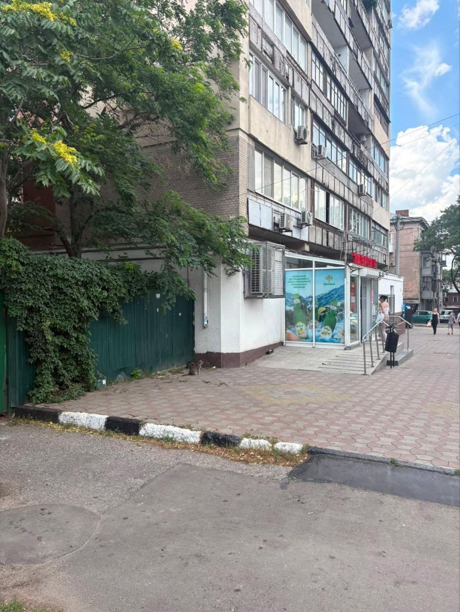 MBelyj2972's tweet photo. Одесса Заметили побитого котика/кошку, хромает примерно на углу Торговой/Новосельского, рядом Таврия, локацию отметили. Может быть кто-то сможет помочь 🙏
Прислали в инсте, контактов нет, человек проезжал мимо из другого района. https://t.co/ntF00uJFgt