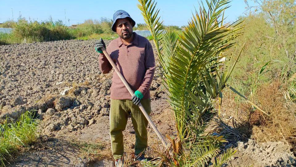 IraqVision's tweet photo. 🌱 From challenges to hope: Salam’s farming journey

With climate-smart farming practices, Salam, a farmer from Thi Qar, improved his harvest, increased his income, and is building a more resilient future for his family.

🔗 Read his story: https://t.co/Dm5Umrawsh https://t.co/Z1isEhqWBY