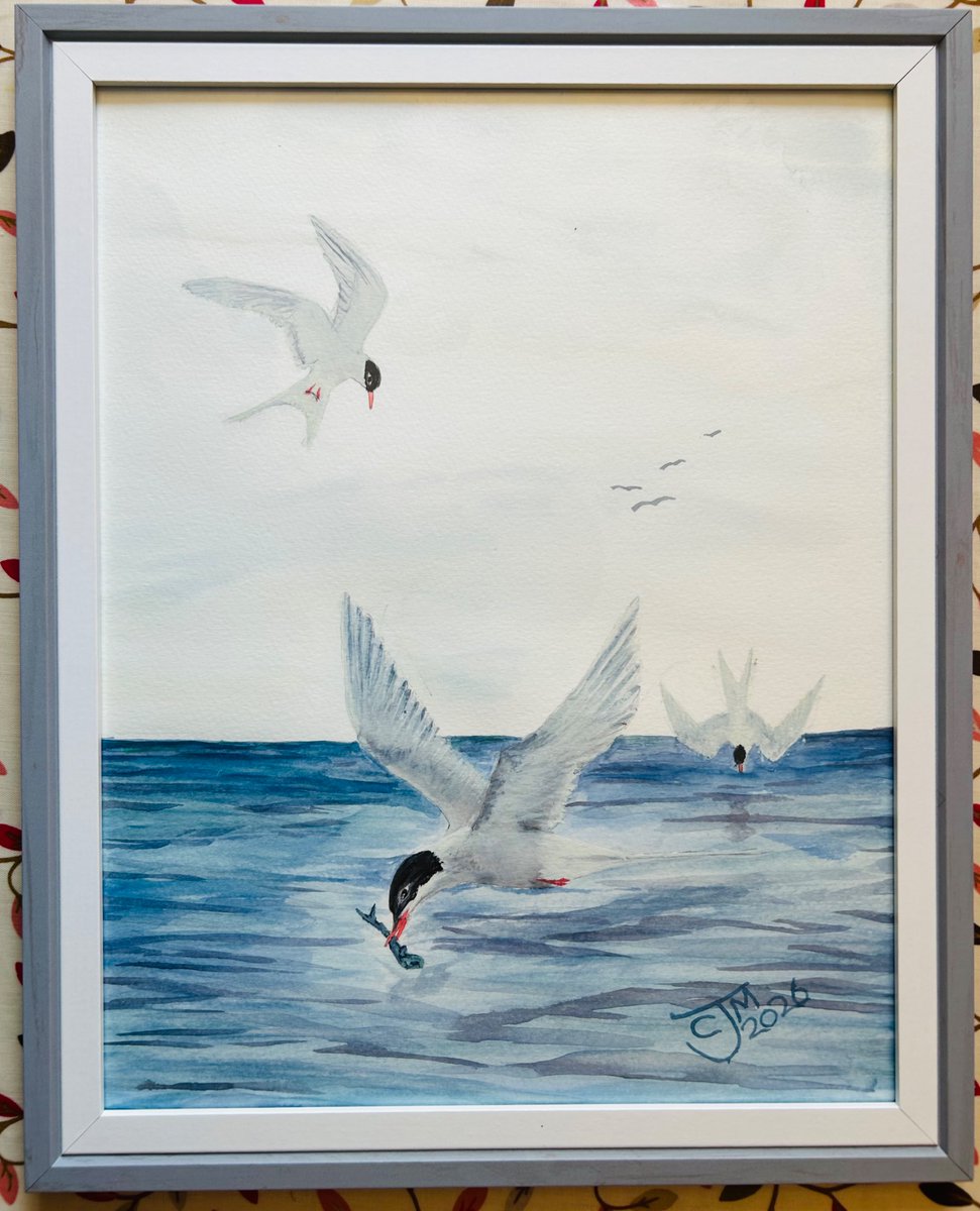 CJM_ArtByColin's tweet photo. I’ve decided to try more of our avian friends. My wife loves watching Arctic Terns do their thing so I tried to paint that.
#art #artist #painting #seascape # birds #Natureisbeautiful #watercolour #watercolor #ArtInspiration #VisualArt #CreativeArts #ArtJourney #Creative https://t.co/1VQ8ZgsjBw