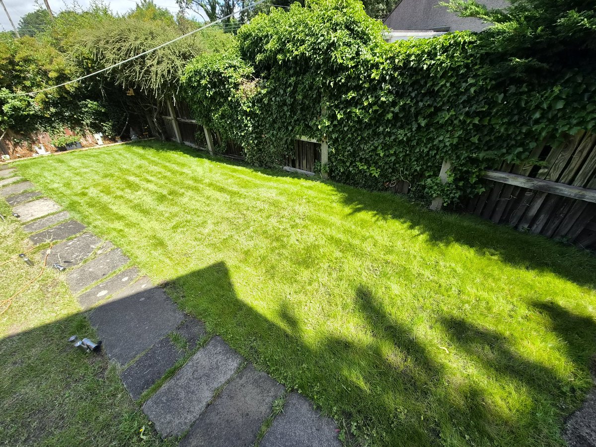 captainalestorm's tweet photo. @thegrasspeople this is the result of my first ever attempt at rescuing a terrible lawn, after only six weeks, this is the result! Thank you to your team for the wonderful advice! There's still a few small holes but what a transformation :) https://t.co/ef21Me06Yu