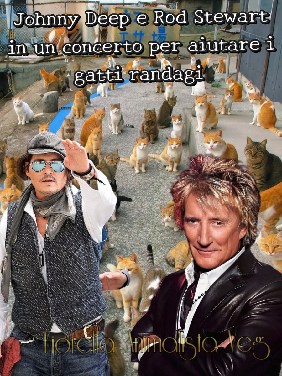 FiorellaArcodi1's tweet photo. Johnny Depp ha partecipato a un concerto privato ed esclusivo a Londra insieme alla leggenda del rock Rod Stewart, riuscendo a raccogliere circa $300.000 (circa 238.000 sterline) a favore della protezione dei gatti randagi. https://t.co/lyHV9c0ctS