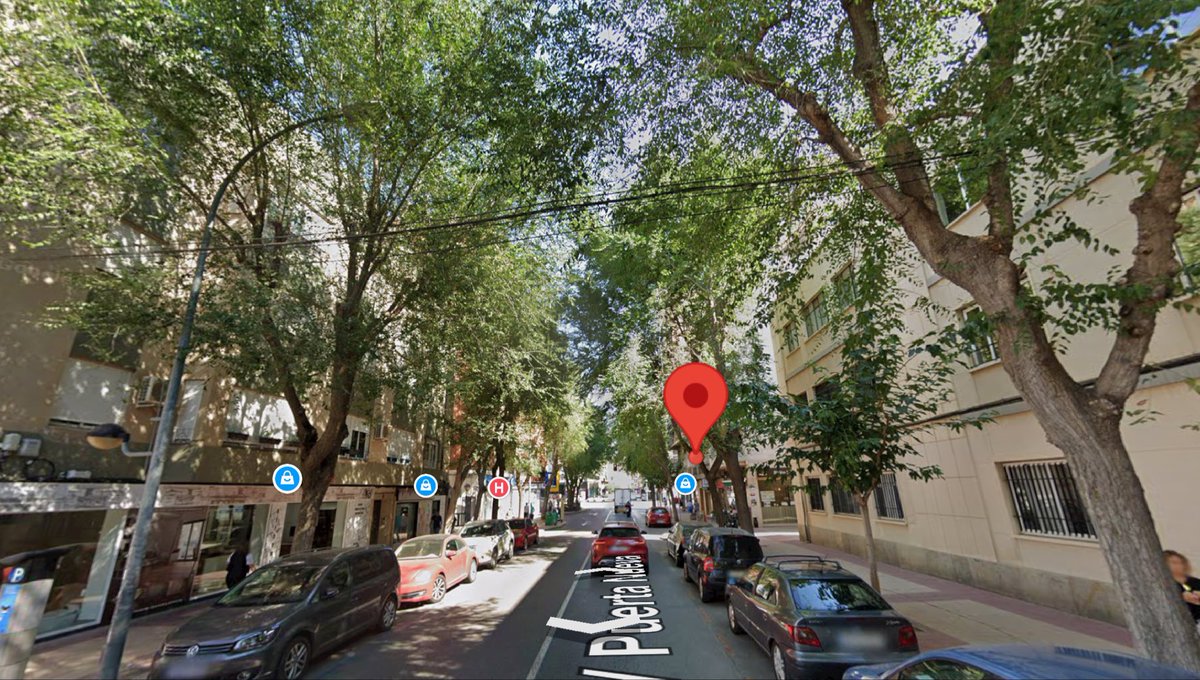 Observa07367412's tweet photo. @MurcianoUrbano @laverdad_es Pero los parques no suponen un tejido arbóreo en el entramado de las calles, y en eso Murcia está por encima de Alicante. https://t.co/NQjSILiHnX
