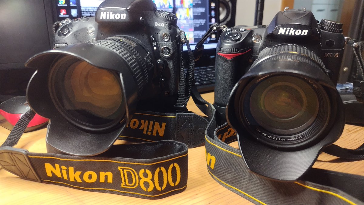 Nikon機が増えました。 D800。 これまでのがD7000でイメージセンサーは