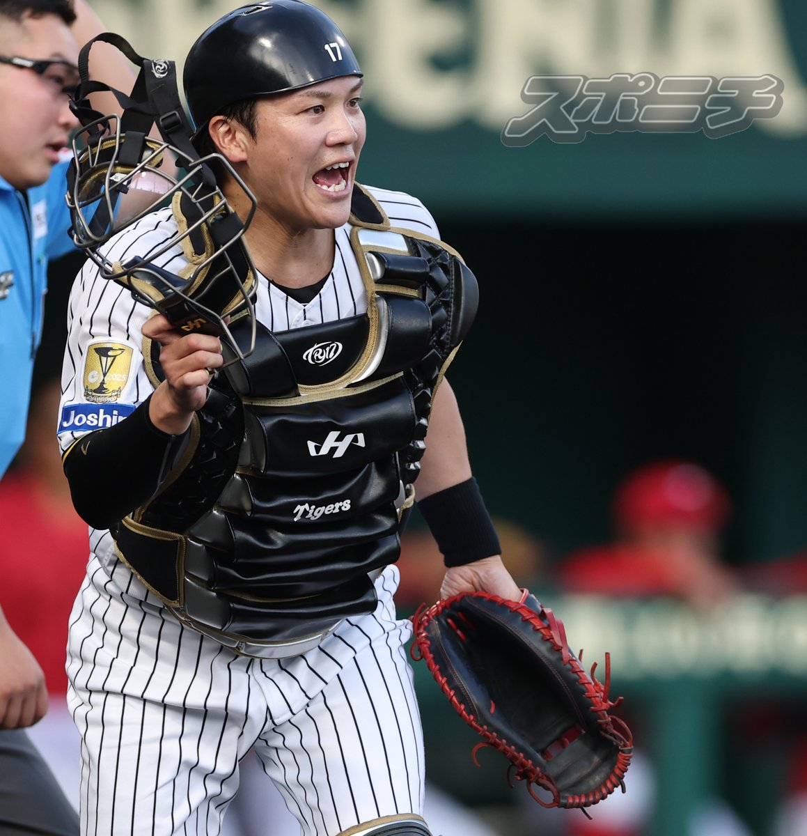 Sponichi_Tphoto's tweet photo. ファームリーグ広島戦で実戦復帰を果たした #伏見寅威 選手 https://t.co/8tWKFvxHkA