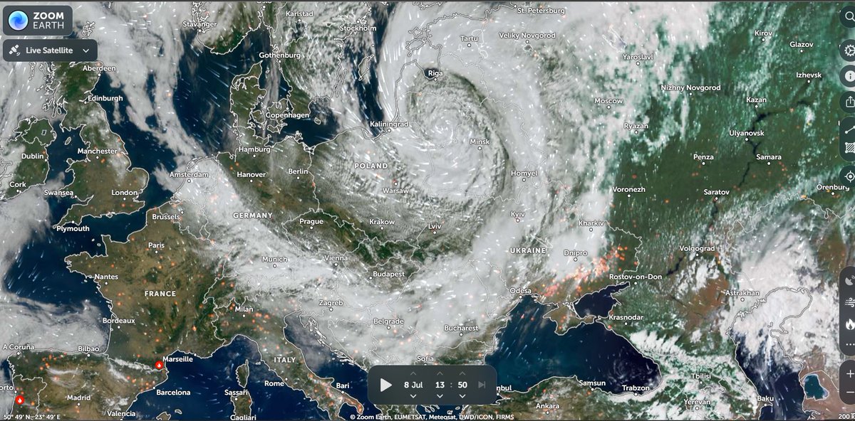 DarMo68's tweet photo. #Vortex a raczej vortexowa, bo to Ona #Bernadette
w calej okazalosci... ale ma ten ogon 🫣😅 https://t.co/Qrrk86q7SG