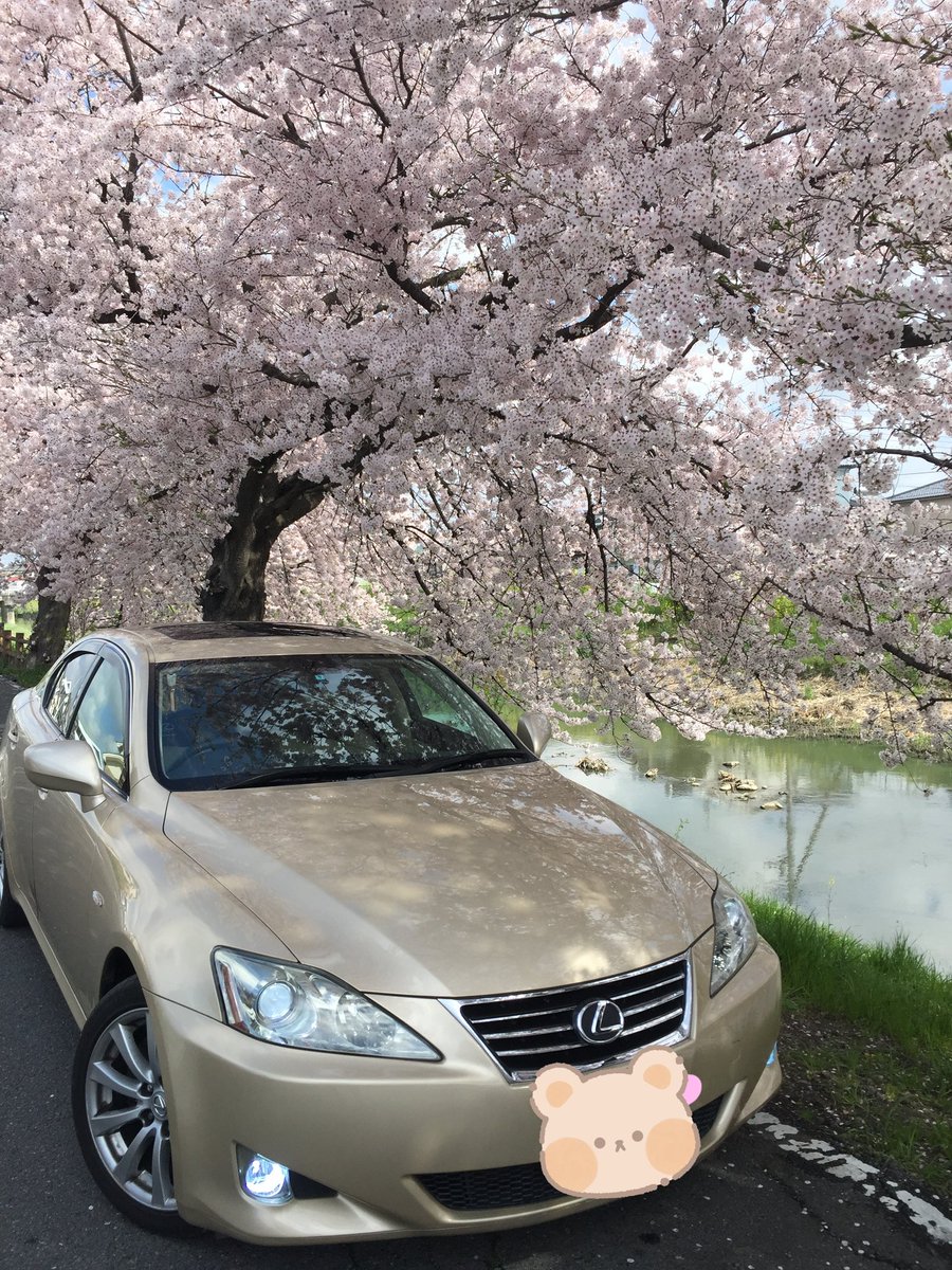szkm2000's tweet photo. その前はこんな車たちに乗ってたのでずっと取得費ゼロというわけではないです https://t.co/1OO8Uainsr