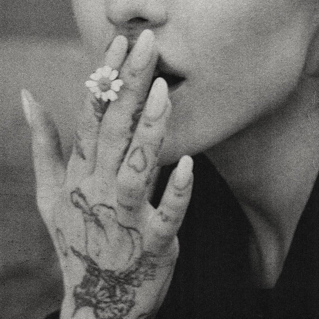 agsmysweetener's tweet photo. smoking petals off the flowers like https://t.co/j4Vf2GBBpn