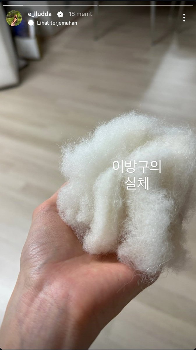 araripa025's tweet photo. Currently taking a break (again) from here but who can resist this adorable baby's overflowing cuteness 🤧

Lee banggu si buntelan bulu yg occasionally botak ini gigi bawahnya ompong 😭😭😭 https://t.co/0RcVtuw0Fq