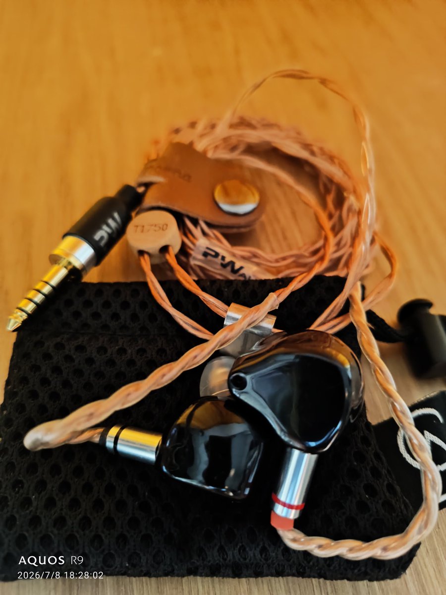blackdarts's tweet photo. まさかのOriolus製『Oriolus』へ新品時に付属していたケーブルと同一メーカーであり現代のPW AUDIO製ケーブル『T1750』?が、わたし個人の音の好みや出音の方向性に合うとは少し驚きました✨
#Oriolus
#PWAUDIO https://t.co/v5NLquFekF