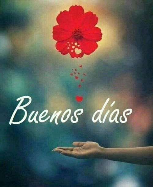 YakeGarca3's tweet photo. "Cada amanecer es una nueva oportunidad para crecer, aprender y conquistar tus metas. ¡Hoy es el día perfecto para dar tu mejor versión!" https://t.co/69Dt9yu8YL