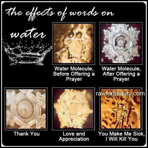 questmoosa's tweet photo. If you knew how much the words that came out of your mouth affected your cellular physiology and water structure of your cells... you would speak a lot less - especially if you're a chatterbox

Words affect your cellular physiology, cellular makeup, water structure and even your surrounding environment - your words can change and affect other people's physiologies and remain embedded in their tissues 

It is very important to speak good or remain silent!