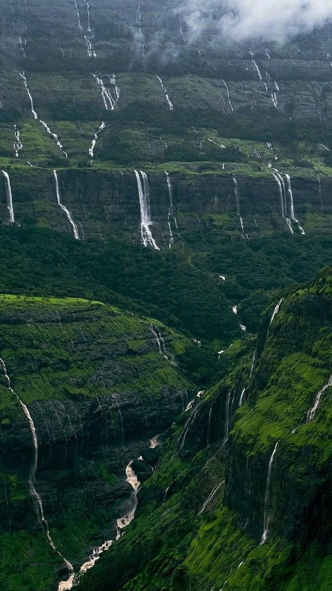 iamnotnightowl's tweet photo. need an urgent trip along the western ghats of india with my girl gang https://t.co/tUK6lIM3cu