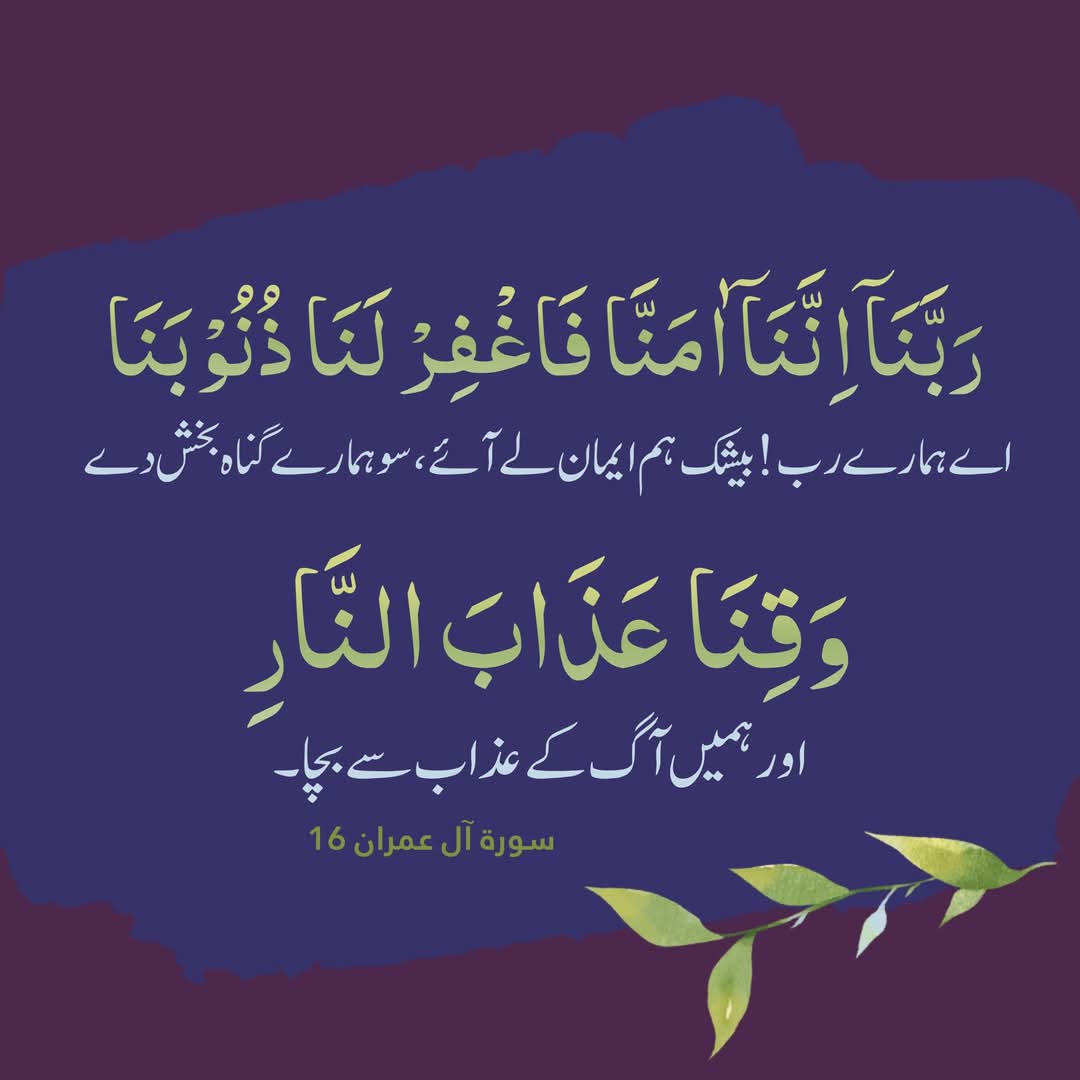 zara ali tweet media