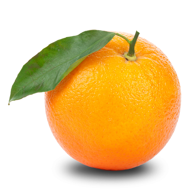 sE_Moaa_'s tweet photo. @TsukimiSumire Beeh Orange for U! https://t.co/1mGGP7QgBp