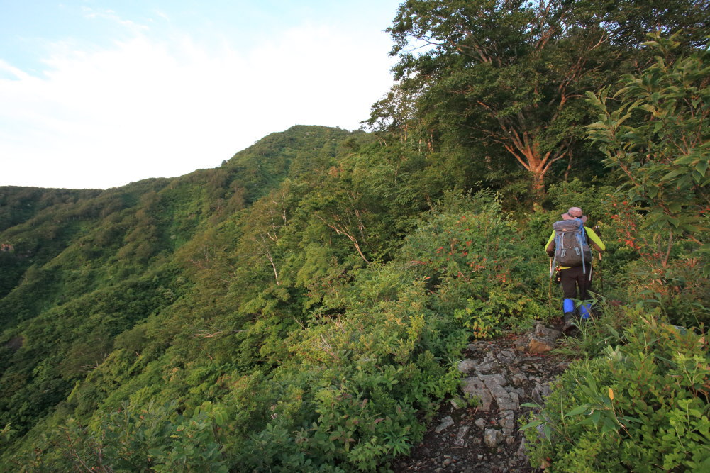 mt_qt's tweet photo. 7/4　越後駒ヶ岳／駒の湯登山口より [山行記録] - ヤマレコ https://t.co/x9PZzDBufV 

小倉尾根経由で標高差1600m余。めちゃくちゃしんどいけど登行欲を満たせる良いルートです。
甲信越も梅雨明けしてるのではと感じるくらい日中は暑い山行でした。味塩を数度舐めて乗り切りました。

#ヤマノススメ https://t.co/GZxJ6Nsw4v