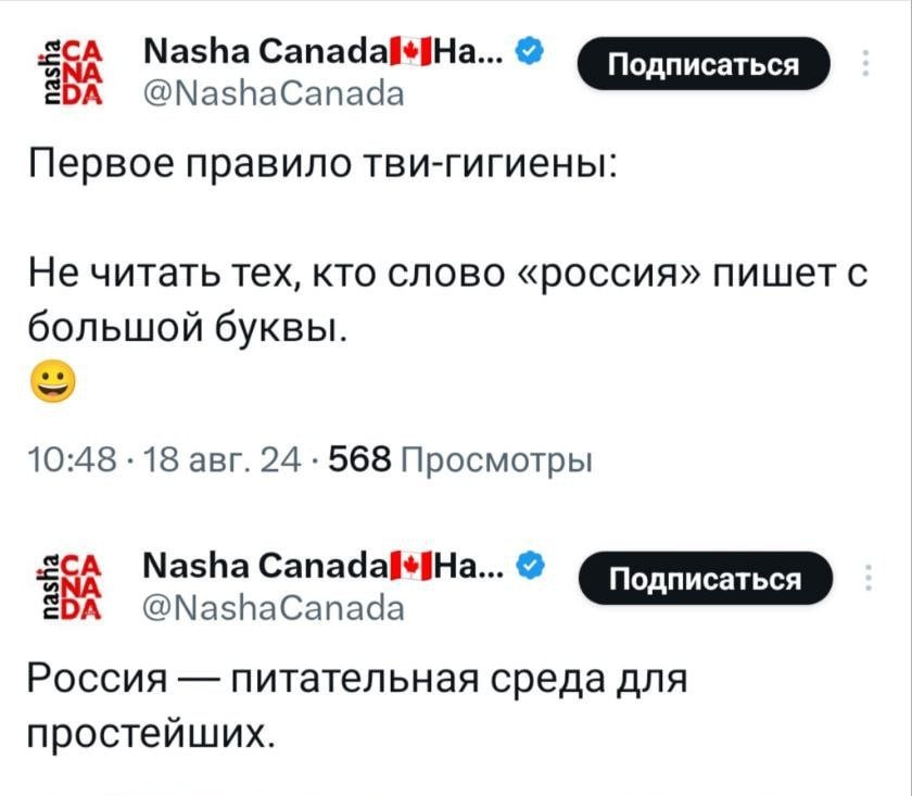 ikaidas's tweet photo. @NashaCanada https://t.co/Mywa6bvpV1