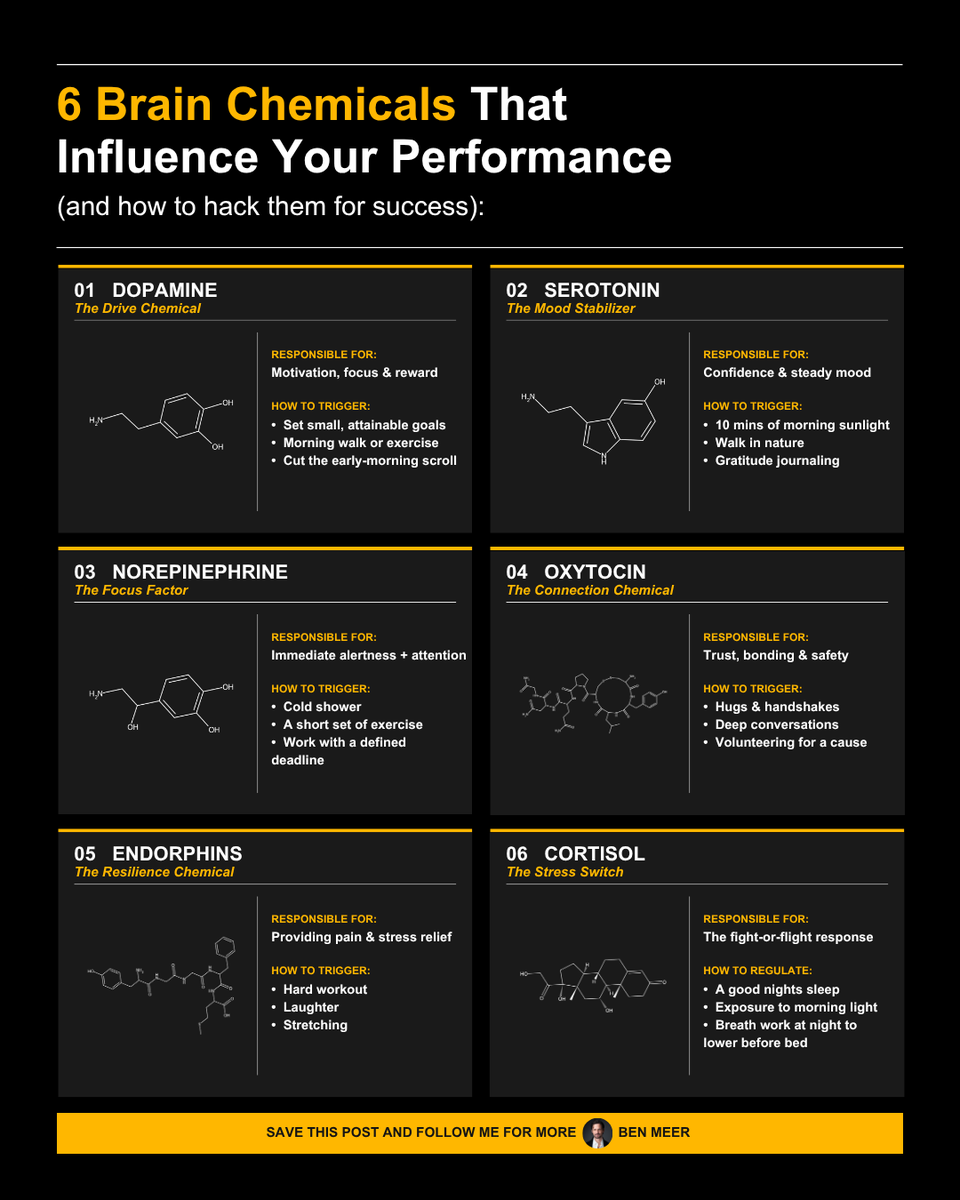 SystemSunday's tweet photo. The 6 brain chemicals that impact performance

(and how to hack them for your success): https://t.co/aBCKwQdOYM