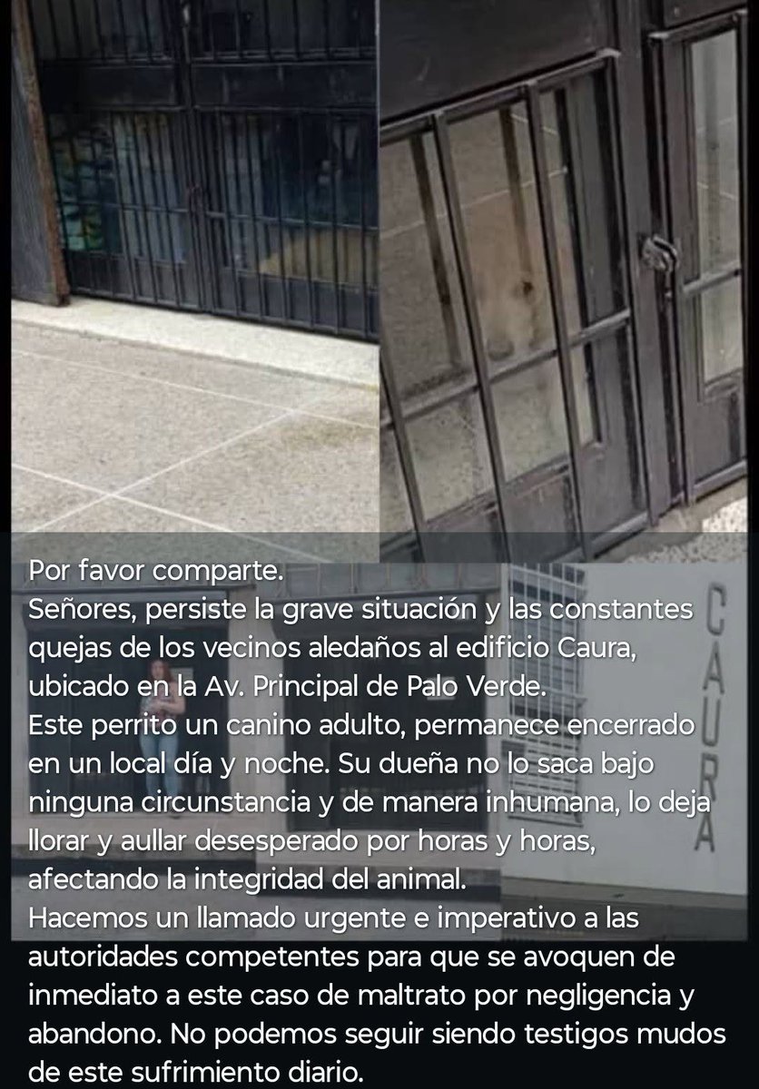 A64029345's tweet photo. EN PALO VERDE .... MALTRATO ANIMAL PERRITO ENCERRADO Y  LA DUEÑA LE IMPORTA UN C... SI LLORA  RESCATISTAS DE LA ZONA  URGENTE RESCATE... @vzlanimalista https://t.co/ekblxmynjI