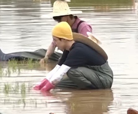 jeononutime's tweet photo. suddenly i miss my little farmer https://t.co/GprYFKIcjg