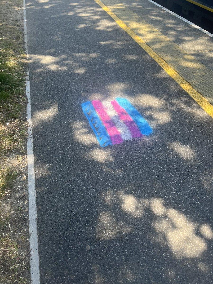 lblack_parade's tweet photo. In the wild! https://t.co/AGAHwNusSJ