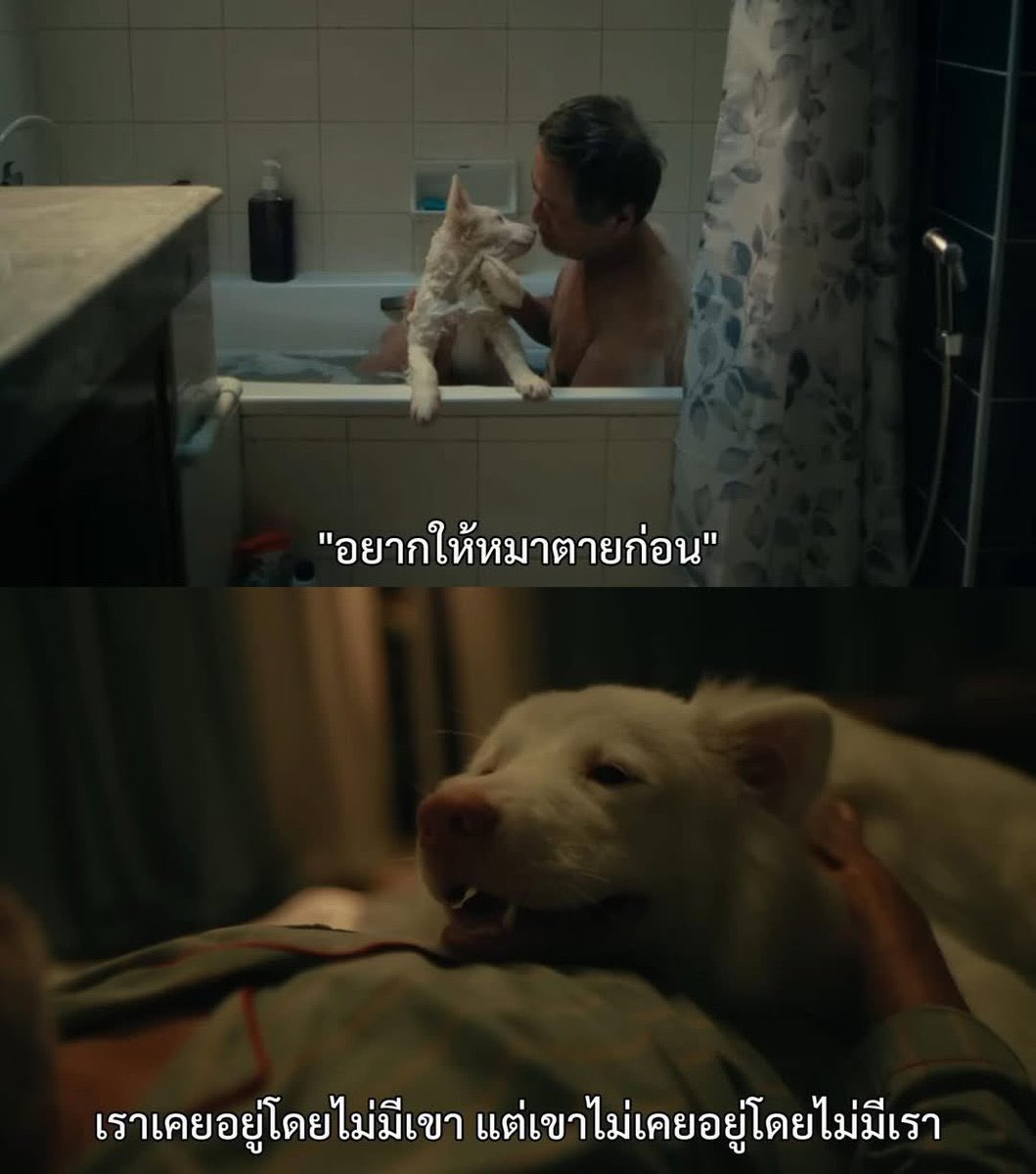 lostyouinmay's tweet photo. ประโยคที่อ่านกี่ครั้งก็ซึม : https://t.co/RLq5Pq4RHW