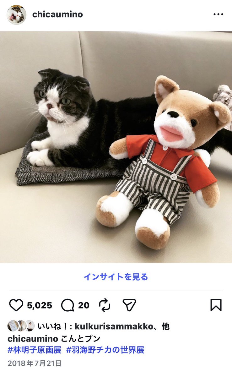 CHICAUMINO's tweet photo. 夜になってこんを膝にのせたら
心細い気持ちになってきました

一度だけご挨拶をさせていただけた時
本当に嬉しかったです
銀座の松屋さんで原画展をさせていただいた時、なんと同じフロアでお隣同士での原画展だったのです

原画をみせていただいている間
あまりの厳しいまでの背景の丁寧さ、
美しさに胸が痛くなり
その背景の前に立つヒトや生き物の
あまりの愛しさに涙が出ました

わたしはその日
こんを連れて帰りました
写真を探したらブンと一緒に写っていて涙と鼻水でいっぱいになりました

わたしは大人になってから先生の本に出会いました📕
でもわたしも先生に
「たかい、たかい」をしていただいたもののひとりなのだとおもいます

林明子先生
素晴らしい世界をみせてくださり
本当にありがとうございました