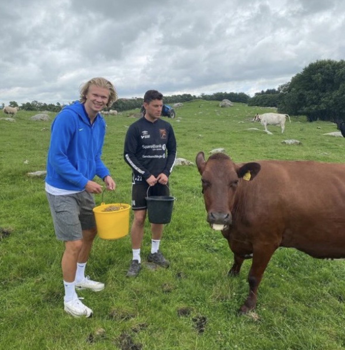 DudespostingWs's tweet photo. Erling Haaland said that after he retires, he wants to have a small farm back home in Bryne, Norway with some animals. https://t.co/mchCYih5wC