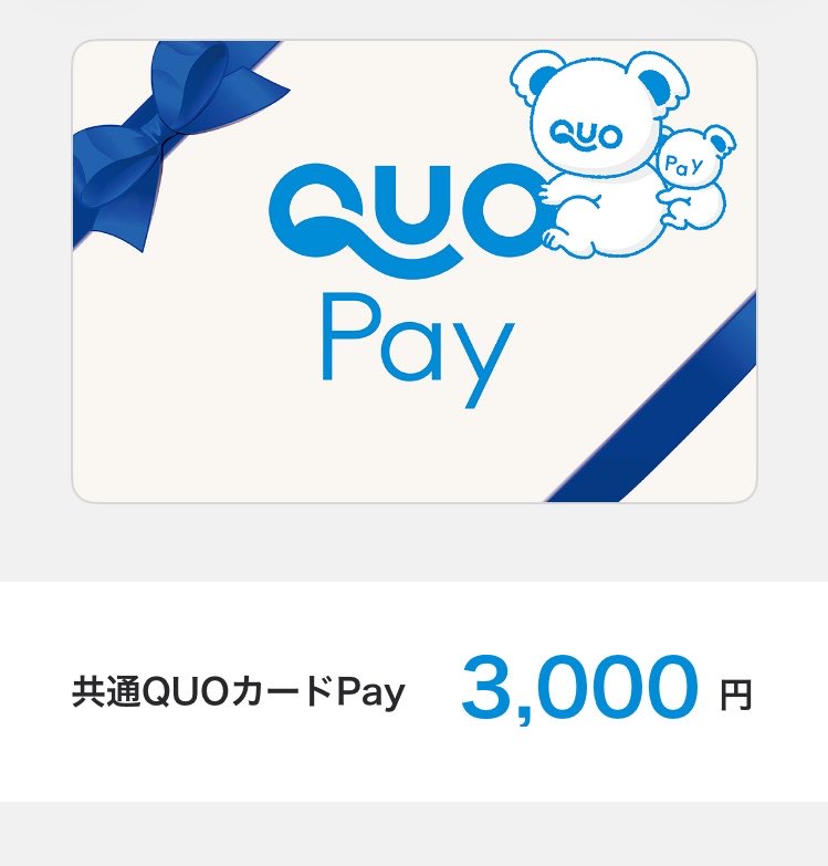 ami_mi_n's tweet photo. こちらの企画でQUOカードPay3000円分頂きました🎉
高額当選嬉しい！！ありがとうございます🥰大事に使わせて頂きます🛍
 #ぇぬの当選報告 https://t.co/pTG1XakKU1