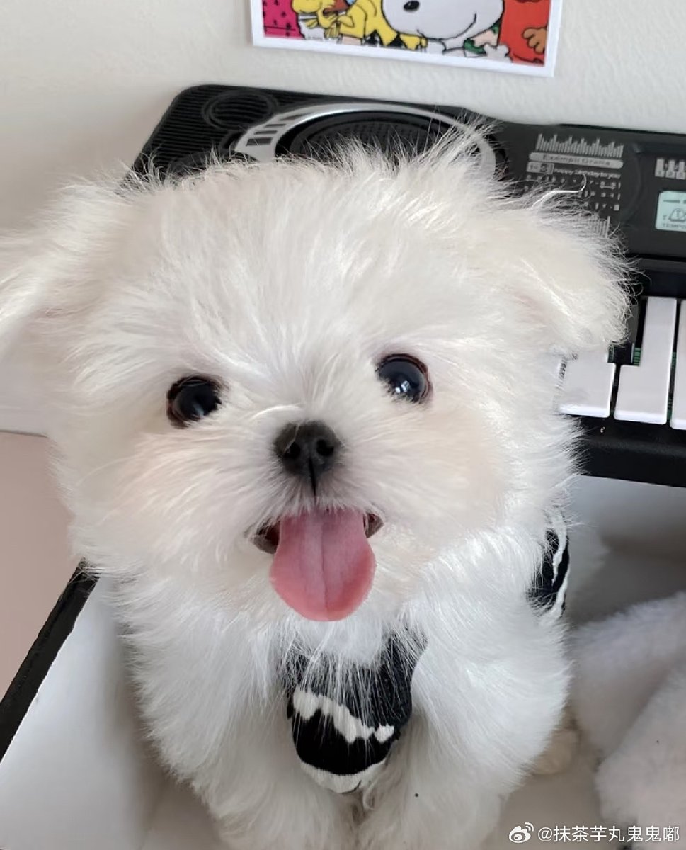 김보영 tweet media