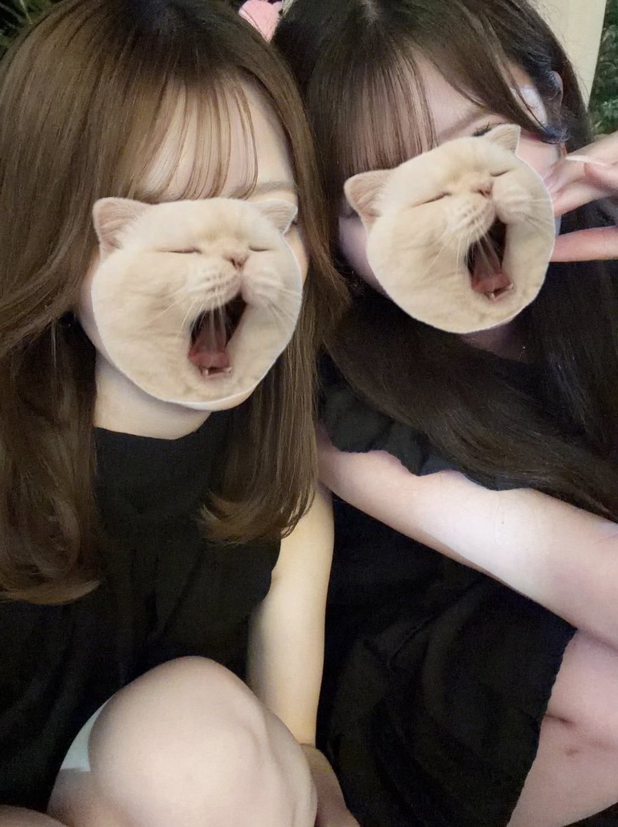mxrq27's tweet photo. 𛰙᭜𖫴𖫰𖫱𖫳𖫲𖫲𖫳𖫴𖫰𖫱꛰ ᭜𖫴𖫰𖫱𖫳𖫲𖫲𖫳𖫴𖫰𖫱꛰♥ https://t.co/co94SuwWPz