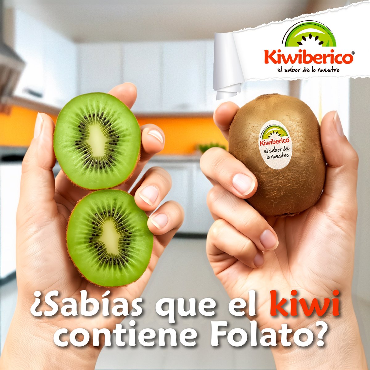 Kiwiberico's tweet photo. ¿Buscando un extra? La respuesta está en la palma de tu mano... literalmente. 🥝​El folato es solo una de las muchas razones por las que un Kiwiberico al día te cambia el ánimo. Es sano y está buenísimo. ​Regálanos un ❤️ si también crees que la naturaleza es sabia (y sabrosa) https://t.co/WqbWf8RUst