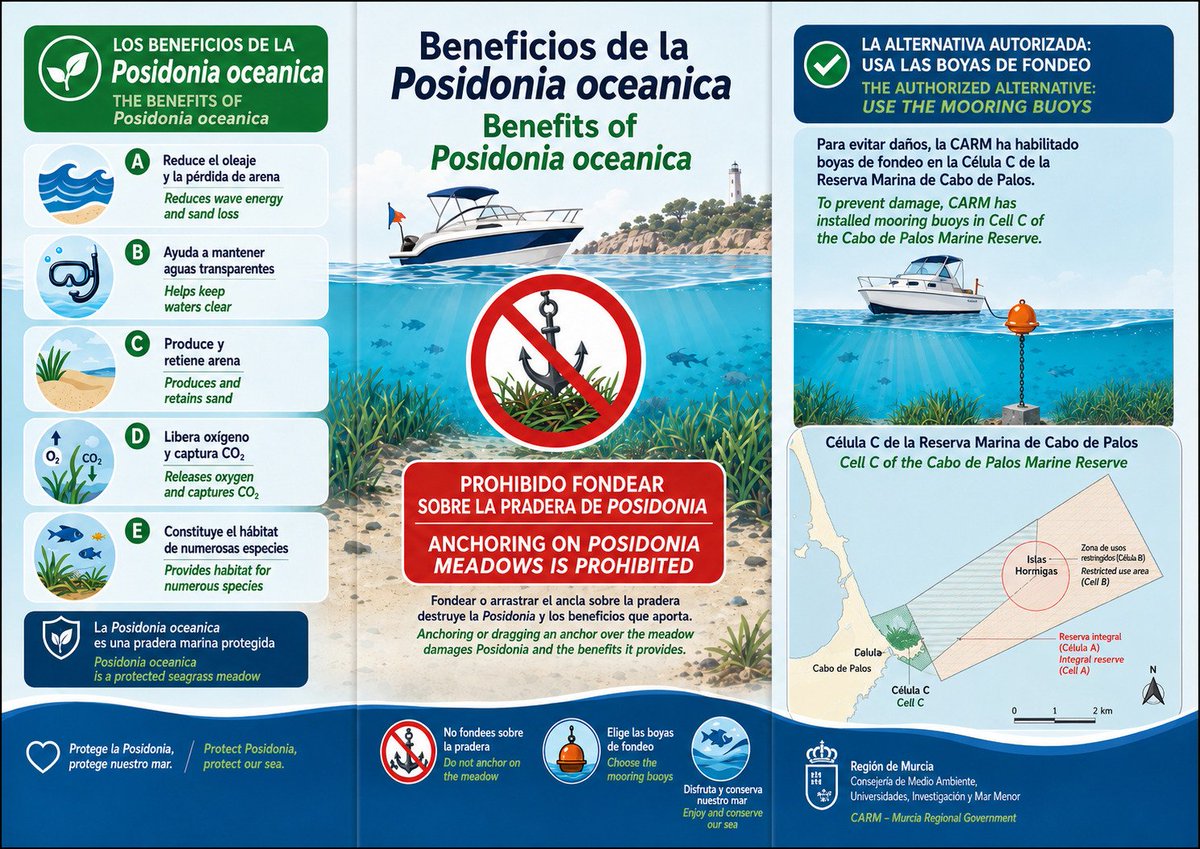 PMaritimaIntRM's tweet photo. Este verano, Cabo de Palos —Célula C de la Reserva Marina— y el Mar Menor —islas Barón y Perdiguera— cuentan con boyas de fondeo para embarcaciones recreativas.
Reserva online con FONDEO:
https://t.co/Mtj6ntwdgh
Acceso con certificado digital o Clave móvil. https://t.co/voYRZu4pdK