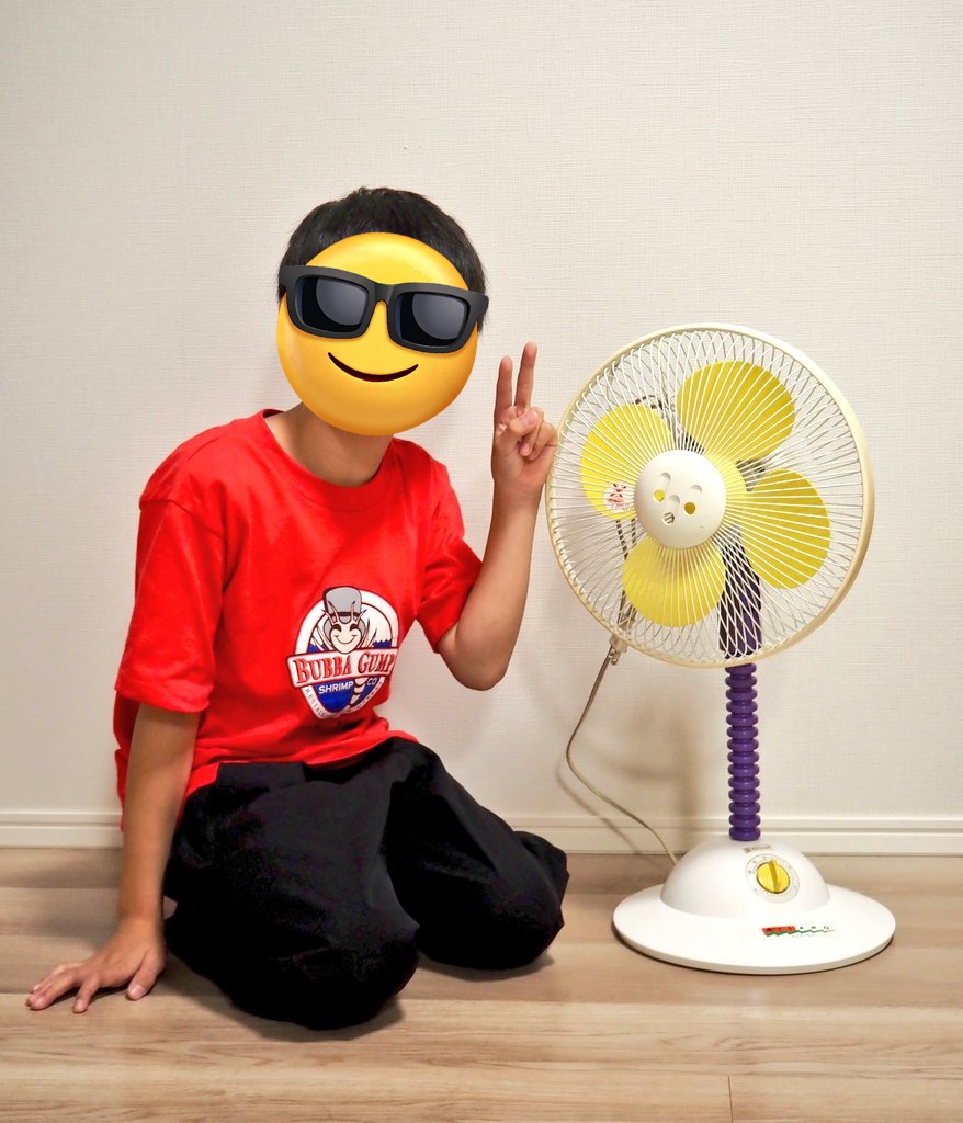 _buu_buu_'s tweet photo. 沼ハマの扇風機沼、おもしろかった！ちなみに息子のはじめての扇風機はナショナルのミラノモデルです。コンパクトなサイズ感とかわいいデザインがお気に入りだそうです。 https://t.co/bUslcQXN8v
