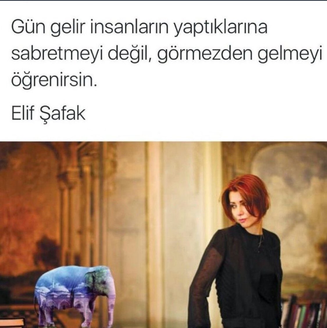 Kitapcumlelerii's tweet photo. Gün gelir insanların yaptıklarına sabretmeyi değil, görmezden gelmeyi öğrenirsin.

Elif Şafak https://t.co/yO3MlkBQr9