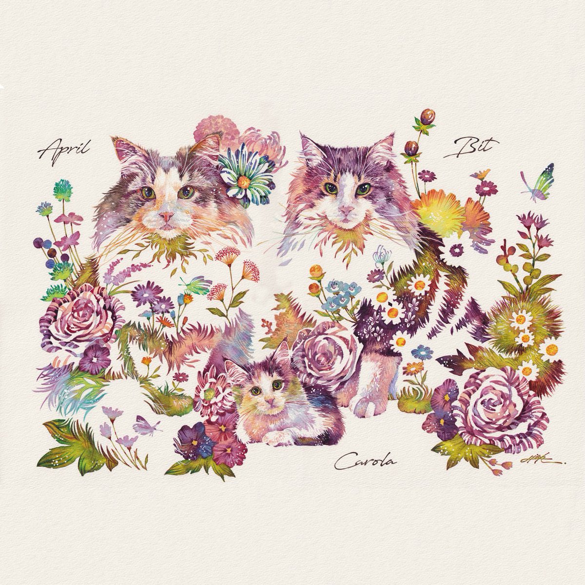いつも仲良しネコ🐈✨