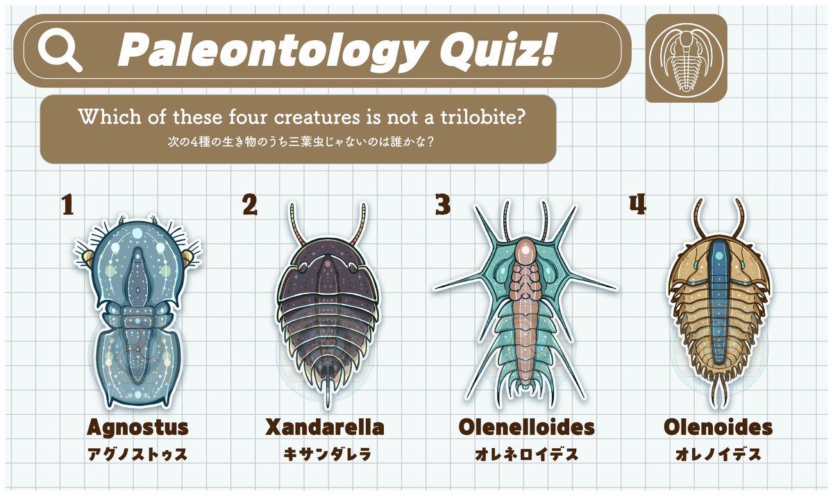 mirokunn2224's tweet photo. #Cambrian #illustration #paleoart #イラスト
古生物クイズだ!
次のうち三葉虫綱に属さないのはどの子かな?
コメントに書き込んでみよう!
(正解は明日発表!) https://t.co/hAchW11UfH