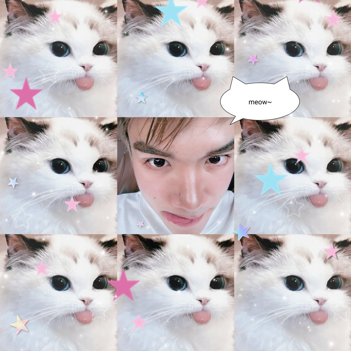 justonlyme1919's tweet photo. Meow~🐱🎀💖✨️ https://t.co/NhRgBvPOd1