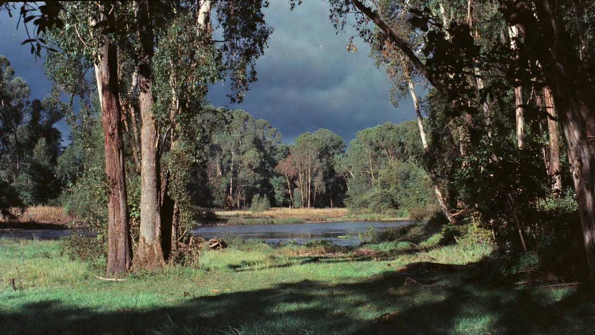 oasissrrr's tweet photo. went really far into the woods today https://t.co/Sl84dfcuFh