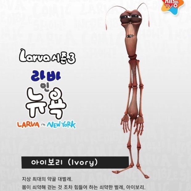 T8LLME's tweet photo. 지상 최대 약골 대벌레 https://t.co/j3kGlv60Xw