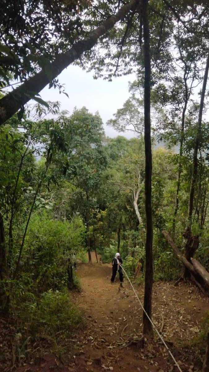 limb0ooo's tweet photo. 27 june 2026
📍Mt. Kareumbi https://t.co/rxBNWSm9v7