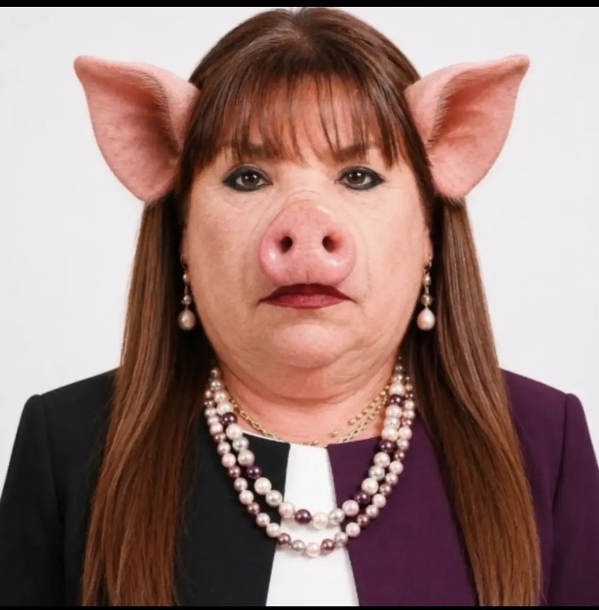 MsMorocco7's tweet photo. @Adriel_Mzz Your mama &amp; pops are subhumans, you’re worst than a animal, this hog who is supposed to be a woman and a senator of a deprived and backward country has the mannerism of a barnyard animal, no black king would stoop so low to apologise to a vile subhuman, her time is running out😆 https://t.co/lWoSBh0xHB