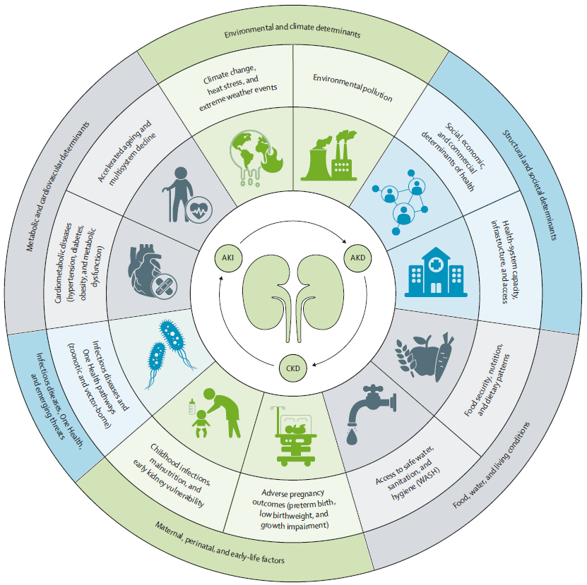 TheLancet's tweet photo. Chronic kidney disease (#CKD) affects 788–844 million adults worldwide — and is projected to become the fifth leading cause of death by 2040.

A Lancet Series examines what is needed to change this trajectory: https://t.co/JszuVGJljc @ERAkidney #ERA2026 https://t.co/NSiSyHdoCN