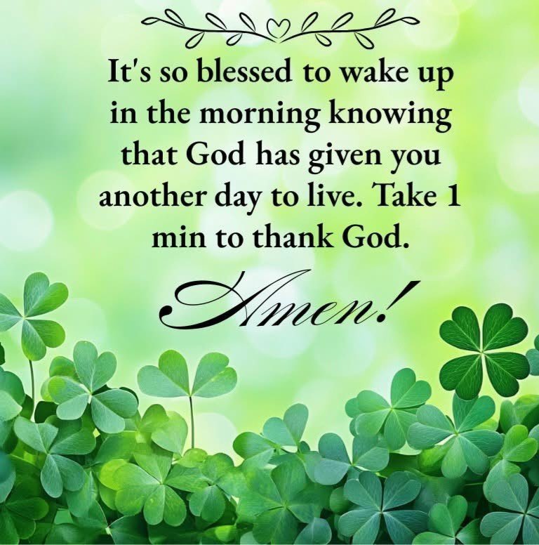 crsrock24's tweet photo. 🥀🕊 Morning devotion to God 🥀🕊 

🕯Phillipians 4:11
I am not saying this out of need, for I have learned to be content regardless of my circumstances.

🕯Philippians 4:12
I know what it is to be in need, and I know what it is to have plenty. I have learned the secret of being content in any and every situation, whether well fed or hungry, whether living in plenty or not.

✝️🕊Good morning, Father God. Thank You for another day of blessed life. We bow on our knees, thanking You for the gift of eternal life through Lord Jesus Christ. We want to remember how EVERY DAY is a precious gift! Let us open our eyes so that we can see our daily bread and stop complaining about what we don't have. Lord, help us to change our thoughts so that we see things as a blessing and not as something to fuss about. We want to live like true Christians who appreciate Your goodness toward us. We will learn to be content if we have little or if we have much. We know that it is not realistic for all of our days to be free of trouble, sorrow, or pain. Father, we desire to seek Your peace that is given to us in our good times and the bad. We will learn to be content and have a thankful heart. Thank You for hearing and answering our prayers. In the powerful name of Jesus Christ, we pray. Amen!
             
👨🏽‍✈️Good morning, brothers and sisters. 
Blessed Wednesday to you and your families

As Jesus suffered, in the flesh, we have to arm ourselves likewise, that we shall suffer.

For you were called to this, because Christ also suffered for you, leaving you an example, that you should follow in his steps. 
1 Peter 2:21 

To God Be All The Glory  
Amen and Amen 🙏🏼✝️🙏🏼