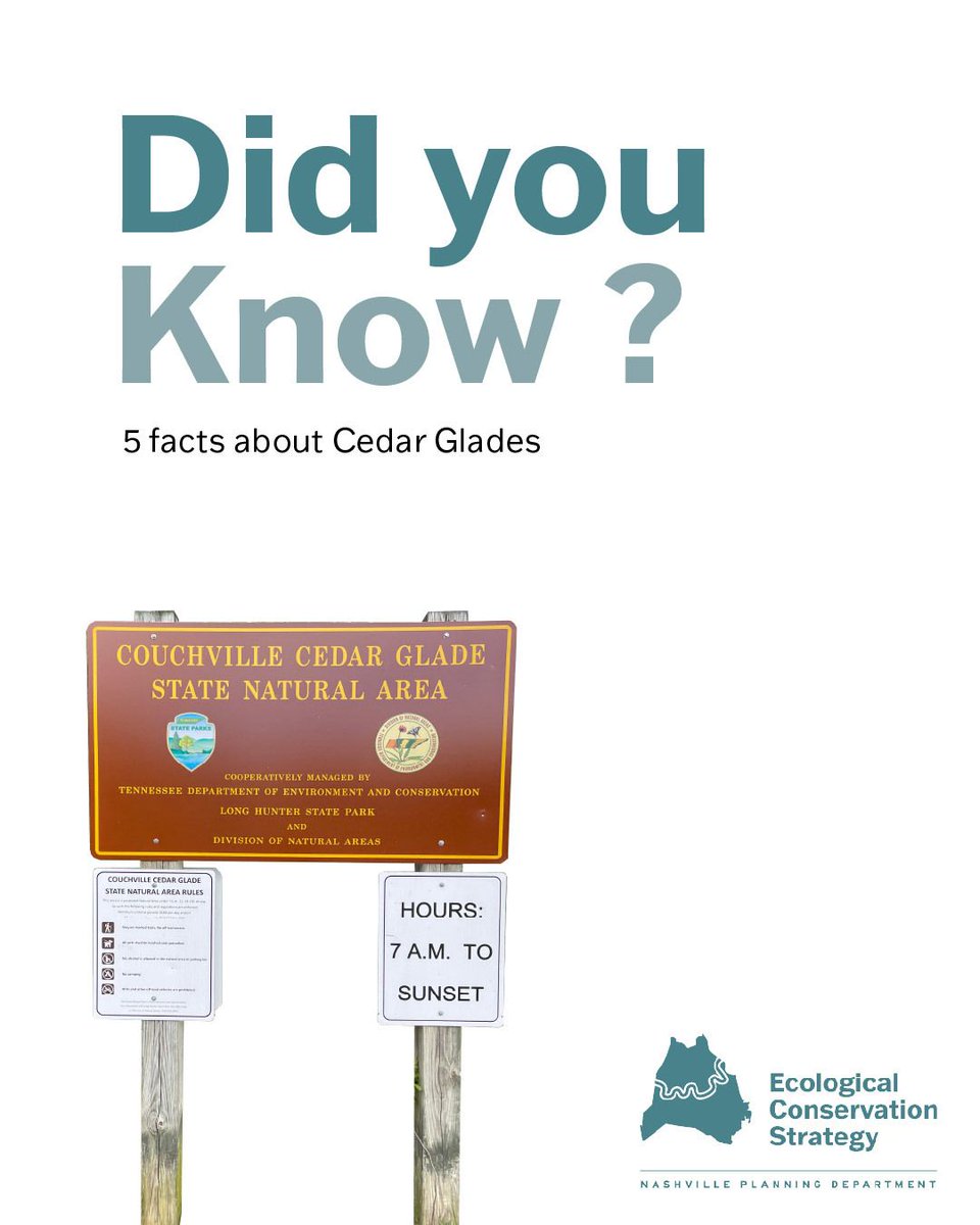 MetroNashPlan's tweet photo. “Did You Know?” Ecology Fun Facts: Cedar glades edition! 🌲🌿🪨 

Tennessee's cedar glades are one of the rarest ecosystems on the planet, and they exist almost nowhere else but right here in the Central Basin. https://t.co/0uoK5xEolE