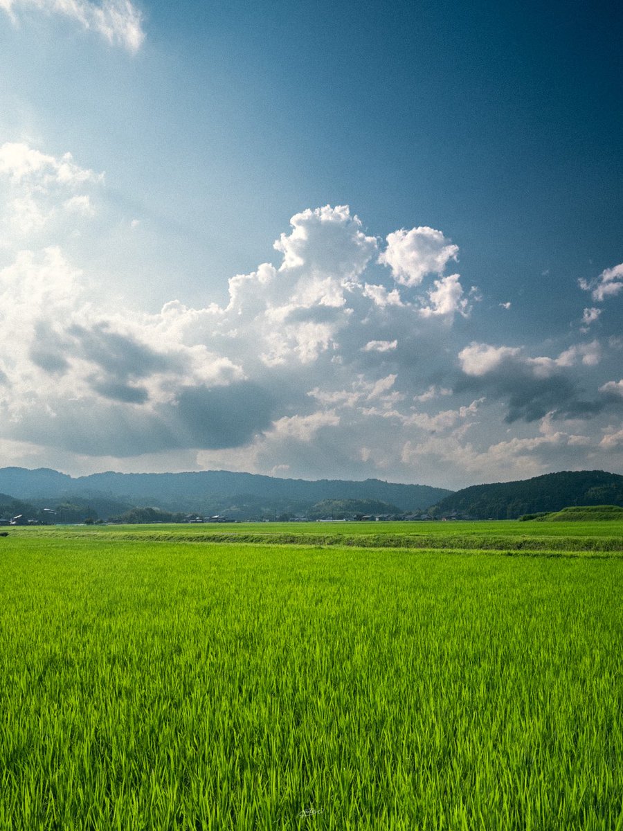 YutoPhotography's tweet photo. 田んぼのある風景 https://t.co/xIyQCUNwQ8