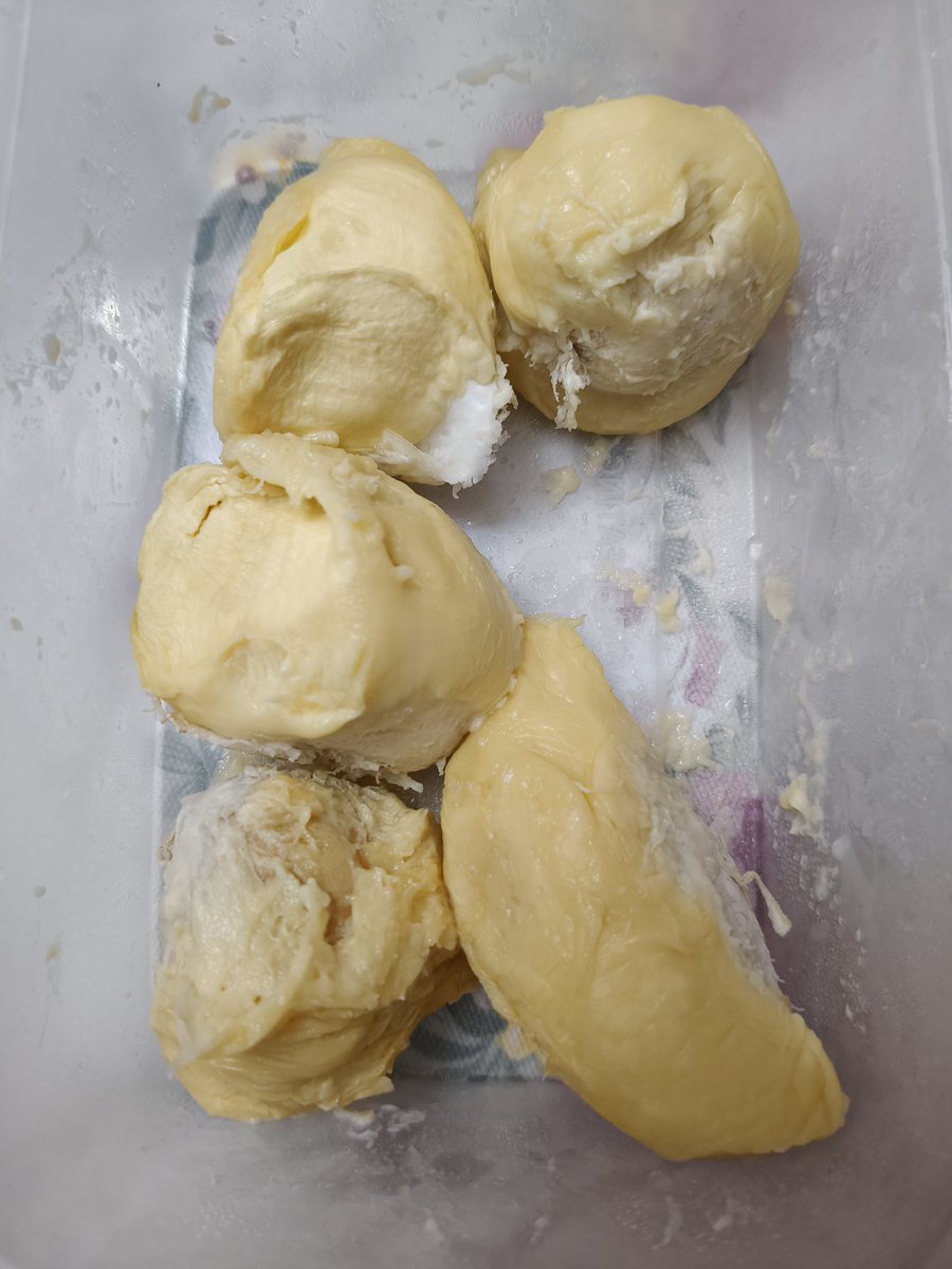 mintie_tea's tweet photo. DURIAN SEASON MI LOVE MI CASA https://t.co/mZNwpOKSMG