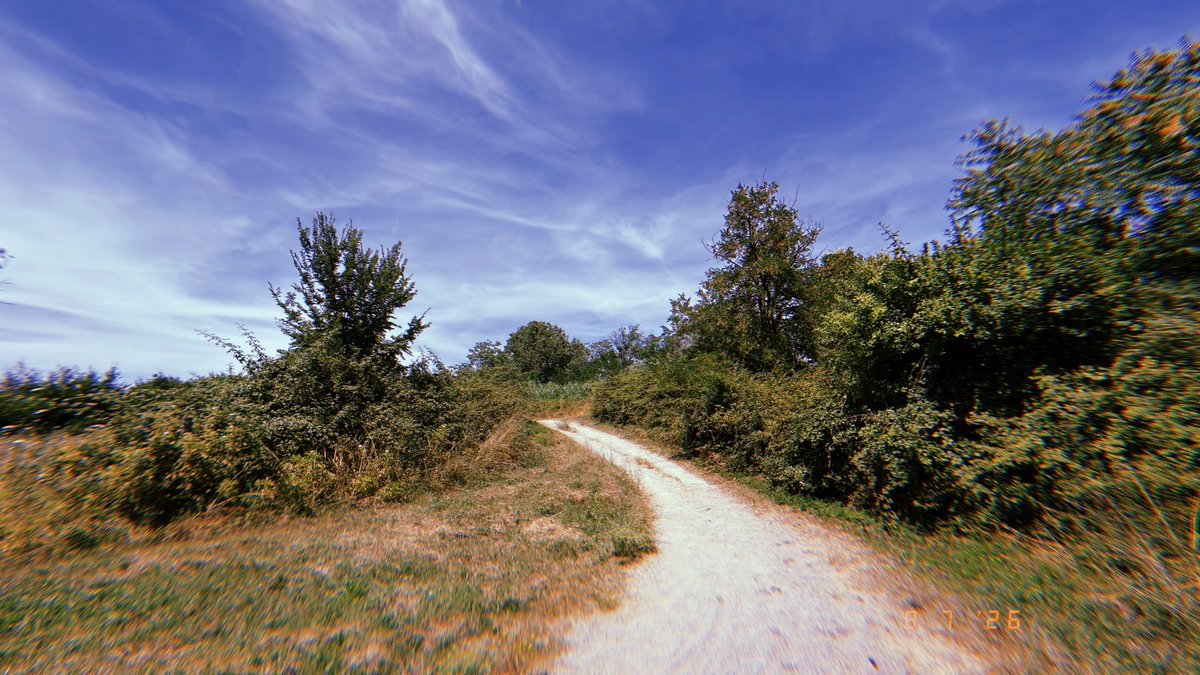 froginagrave's tweet photo. Dogs barking. Insects buzzing. Sun scorching. Trail running. 34* Roman heat. Marvellous 
.
.
.
.
.
.
#trailrunning #running #runningpunks #fitinyourfifties https://t.co/5MiiCqHIJs