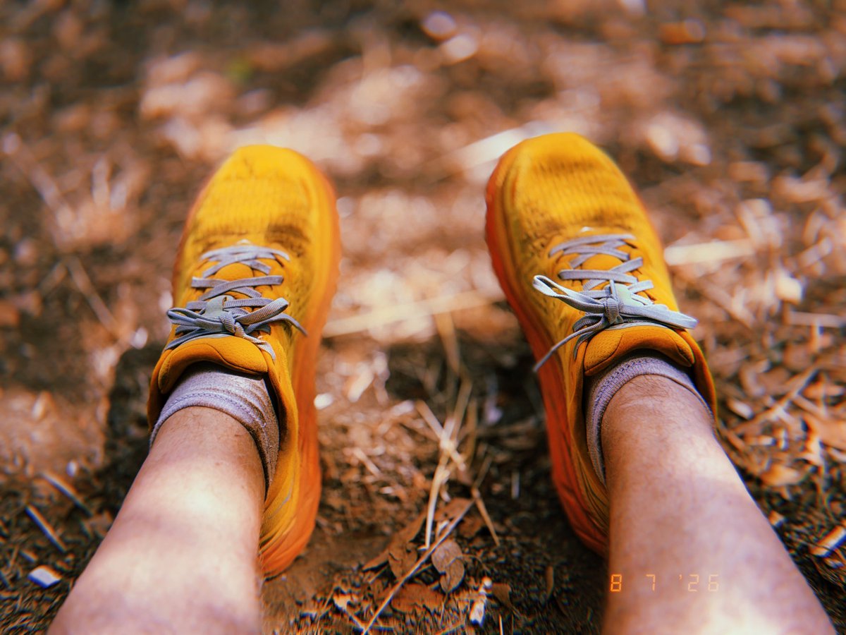 froginagrave's tweet photo. Dogs barking. Insects buzzing. Sun scorching. Trail running. 34* Roman heat. Marvellous 
.
.
.
.
.
.
#trailrunning #running #runningpunks #fitinyourfifties https://t.co/5MiiCqHIJs