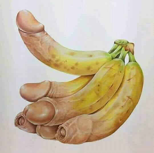 ThinMed's tweet photo. Chudai #banana #dick #gay #art https://t.co/rCOSD4mChN