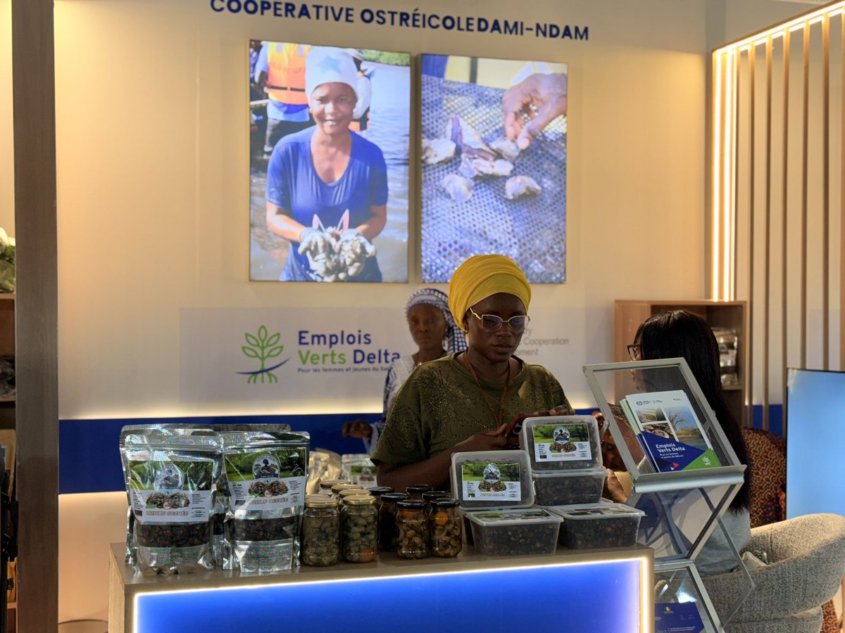 IloSenegal's tweet photo. ✨ 07 - 09/07 @IloSenegal est fière de participer au #FORAESS2026 avec 5 stands dédiés aux #coopératives que nous avons accompagnées et formées.
🐝 Apiculture
🐟 Produits halieutiques séchés
🌾 Agroalimentaire
👞 Cuir
👗 Textile
#EconomieSolidaire #Inclusion
@ilocoopsse @OITinfo https://t.co/oj50uNxeKP